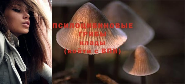 прущий лед Балабаново