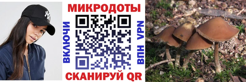Псилоцибиновые грибы мицелий  Минеральные Воды 